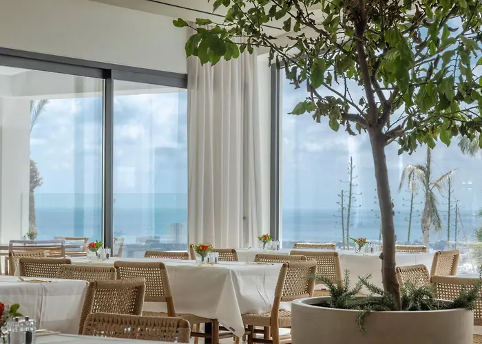 Hotel Hills & By Brown Paphos